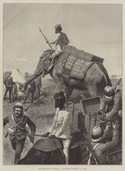 La Spedizione in Birmania, una Batteria di Elefanti in Azione